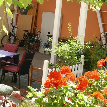 Gaestehaus Herbert Kappes Zeltingen-Rachtig Kültér fotó